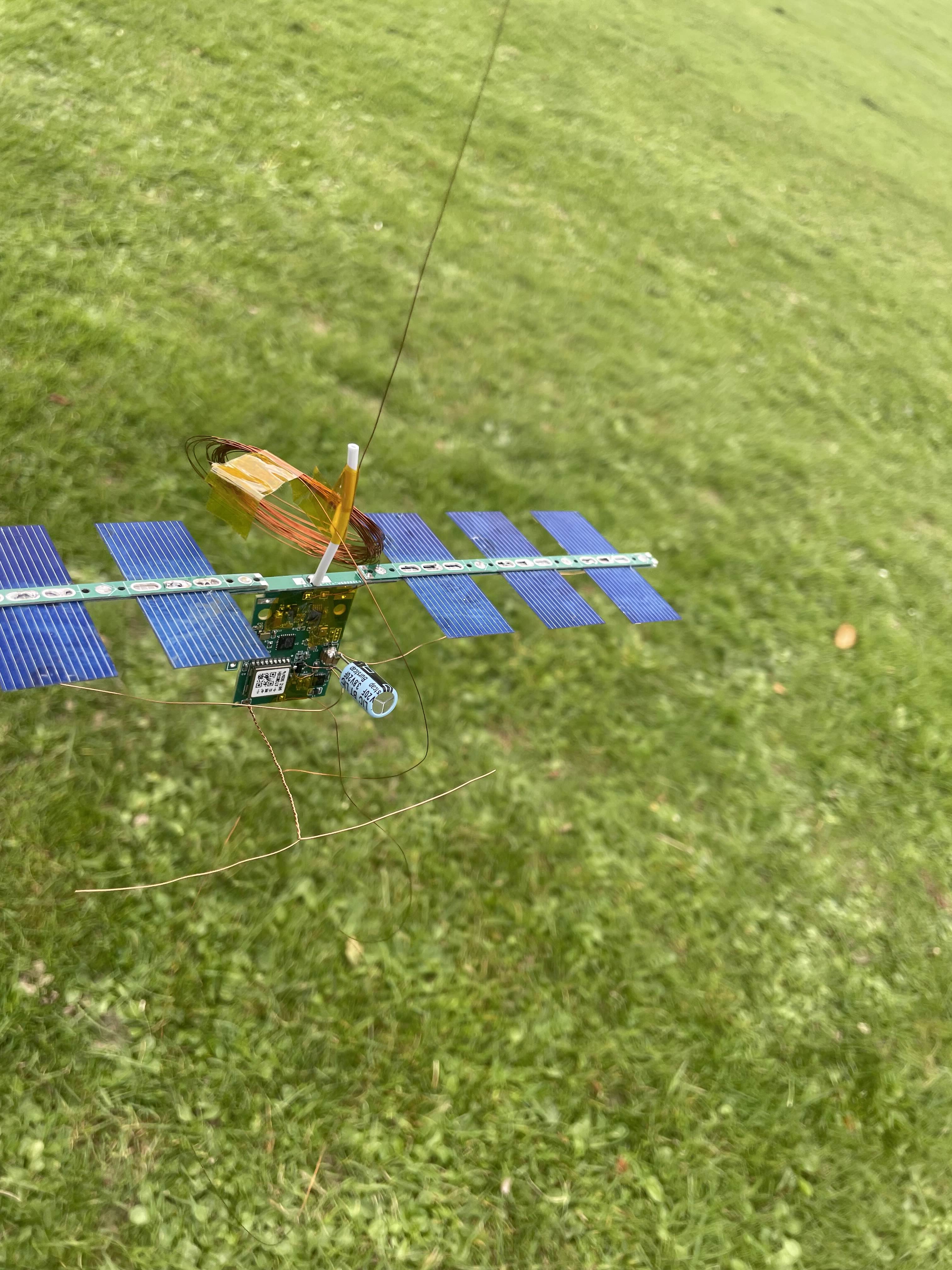 Payload before preparation